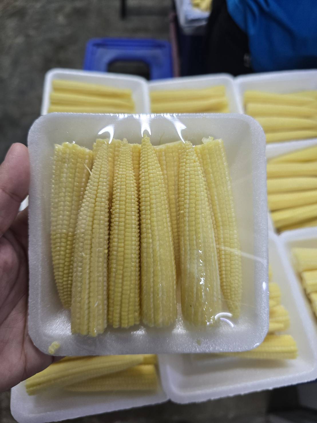 Packaging sample 3