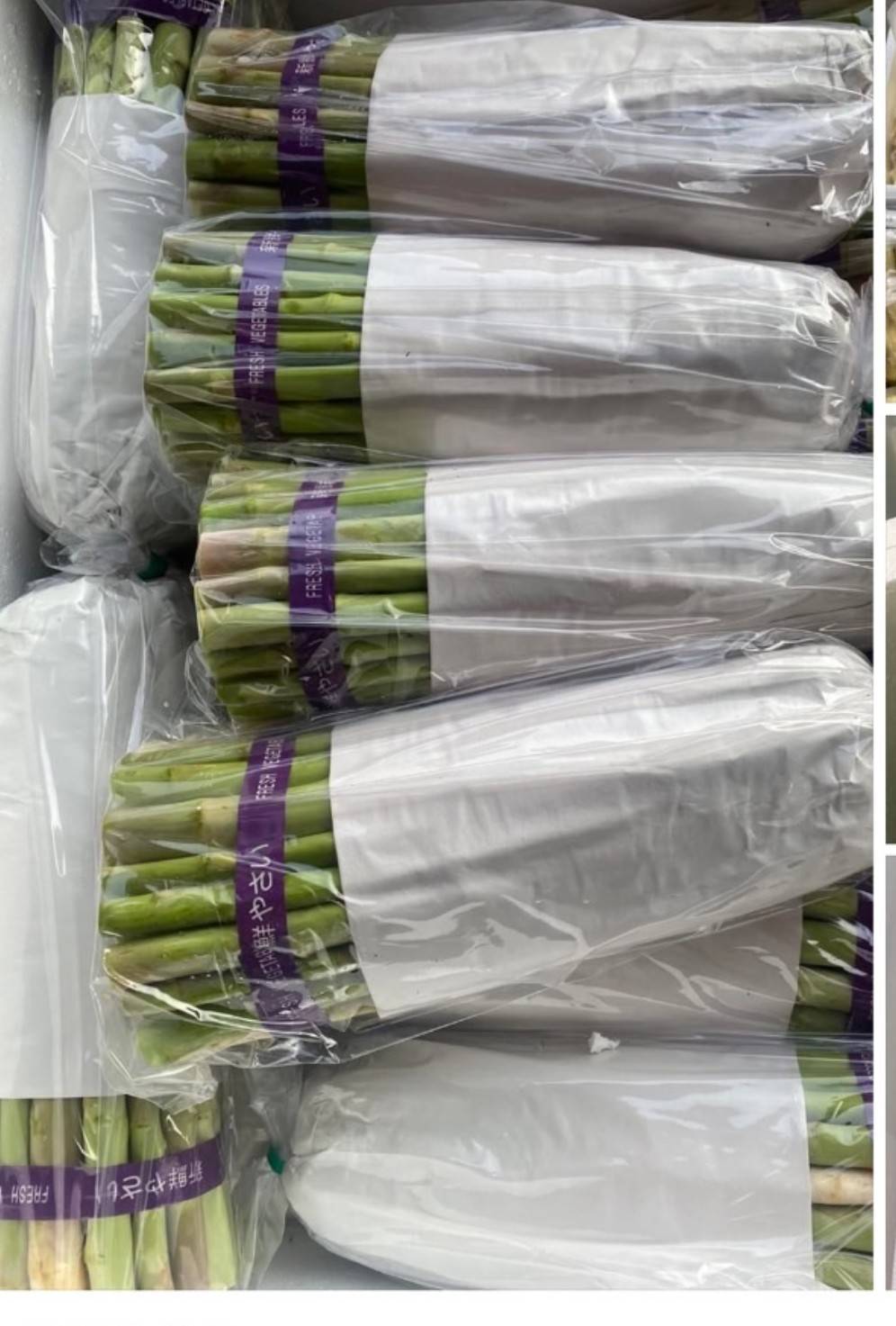 Packaging sample 9